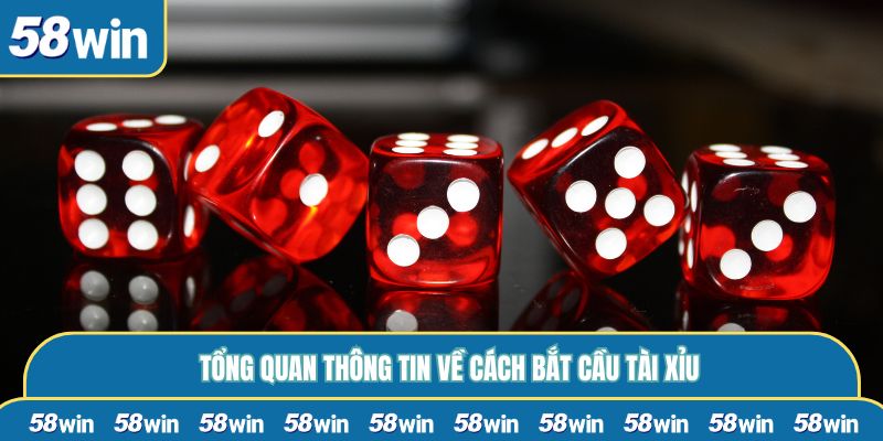 Tổng quan thông tin về cách bắt cầu tài xỉu