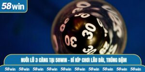 Nuôi Lô 3 Càng Tại 58WIN – Bí Kíp Chơi Lâu Dài, Trúng Đậm