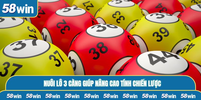 Nuôi lô 3 càng giúp nâng cao tính chiến lược